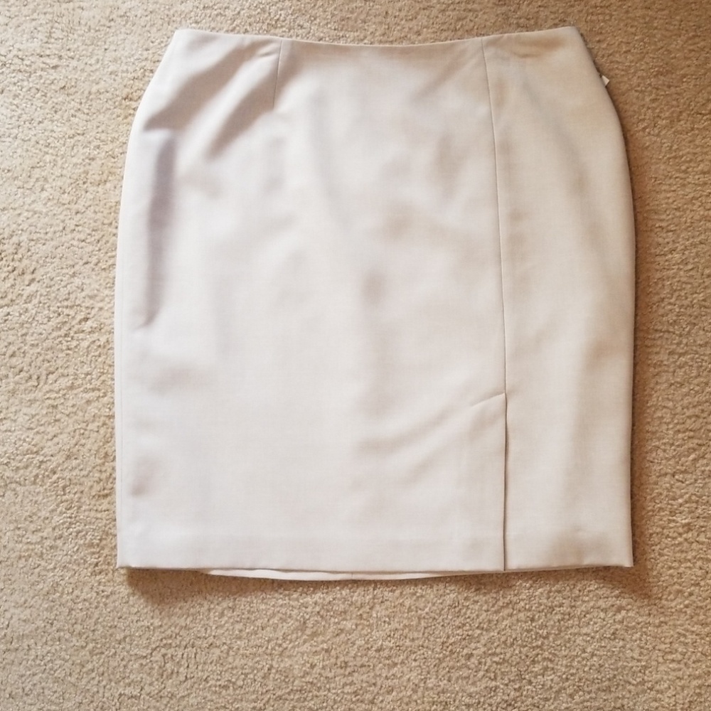 Dressy skirt Size (14P)